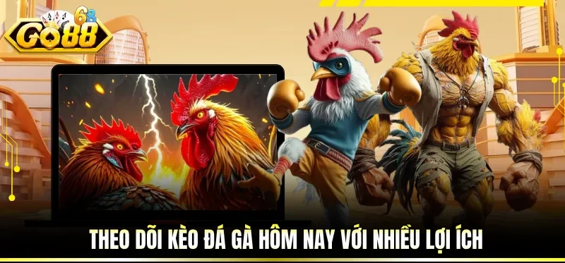 Kèo Đá Gà Hôm Nay - Cập Nhật Mới Nhất Từ Nhà Cái GO88 2 Theo dõi kèo đá gà hôm nay với nhiều lợi ích